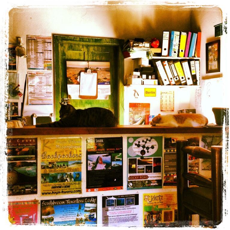 Jungle Monkey Backpackers Hostel Port Saint John's Exterior photo
